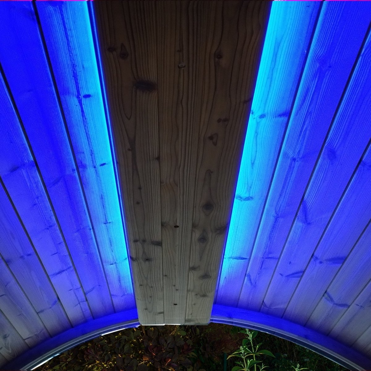 SaunaLife Emood color lighting in ERGO sauna displaying vibrant blue illumination along wooden walls.