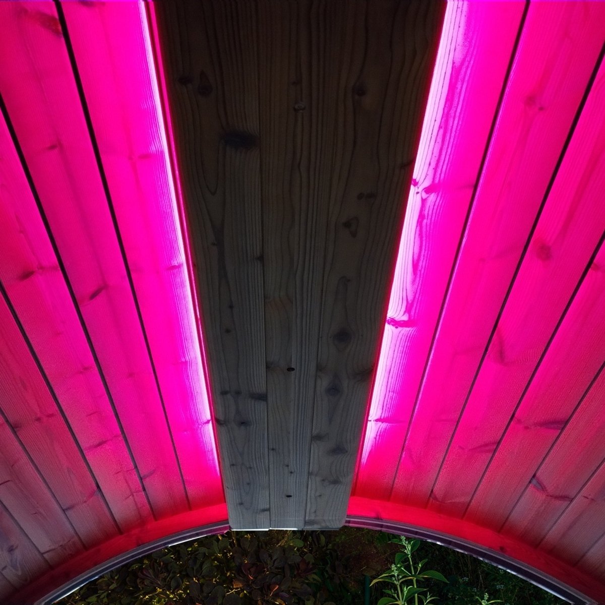 SaunaLife Emood lighting system in ERGO sauna glowing with vibrant pink color.