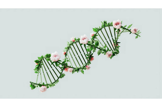 Dna fitness test showing the benefits of having supportive health