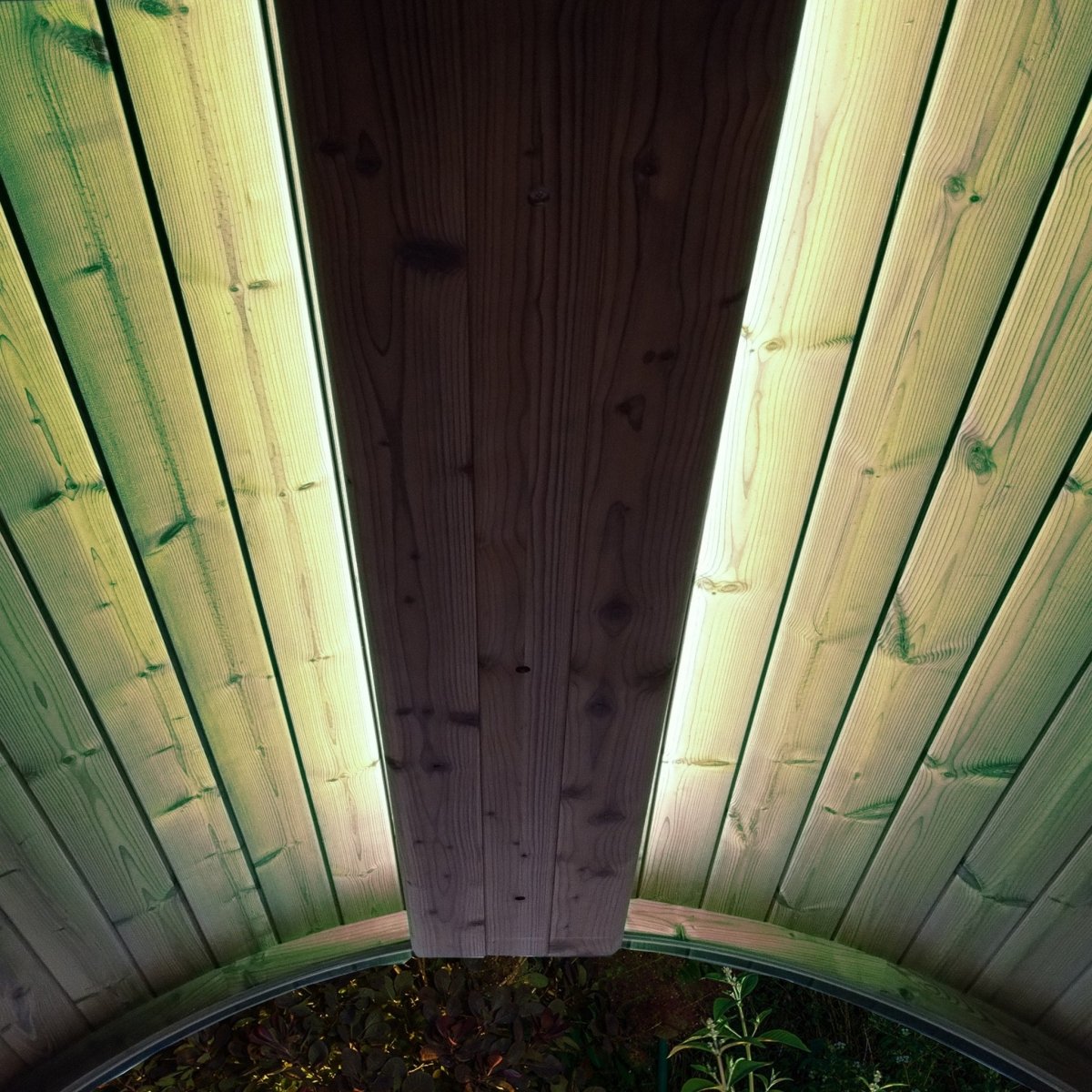 ERGO sauna interior illuminated by SaunaLife Emood lighting in soft yellow tone