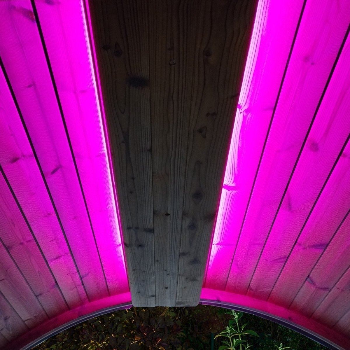 ERGO sauna interior with SaunaLife Emood lighting in magenta hue for mood enhancement.