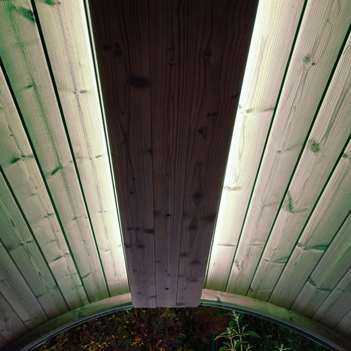 SaunaLife Emood lighting in ERGO sauna with a soft yellow hue enhancing the warm wooden interior.