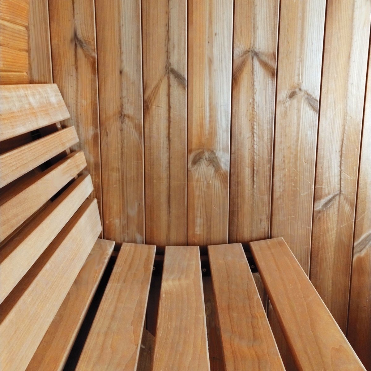 SaunaLife E8 interior view with curved wooden benches.