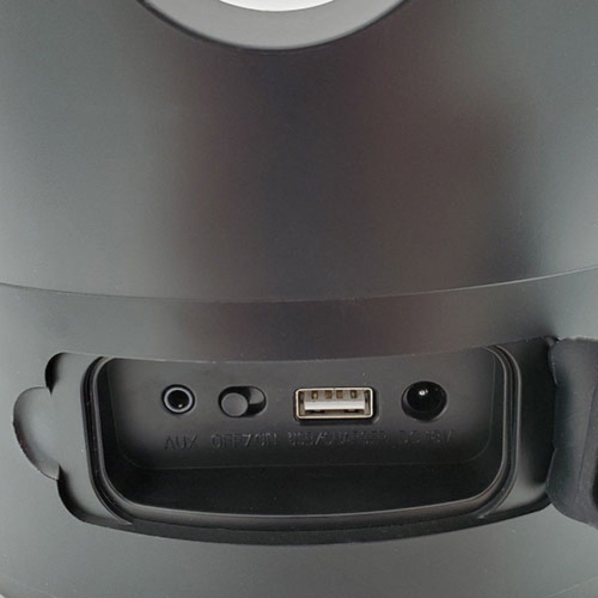 SaunaLife SaunaZone speaker bowl close-up of power options.