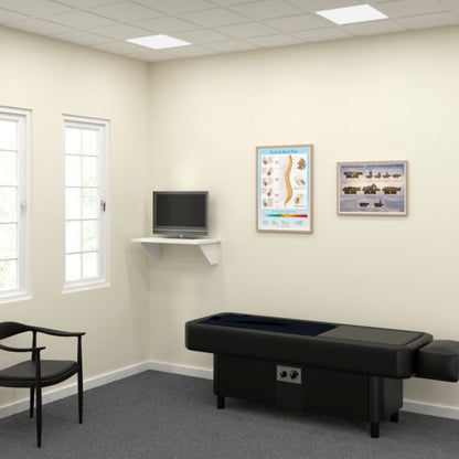 Sidmar Hydrotable with instructional poster mounted in professional clinic setting